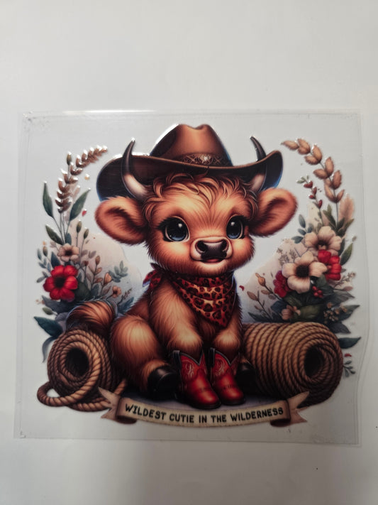 #2 wildest cutie cow